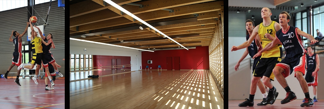 Basketteurs en action, salle polyvalente au parquet bois et mur rouge baignée de lumière, et joueurs de basket en plein match